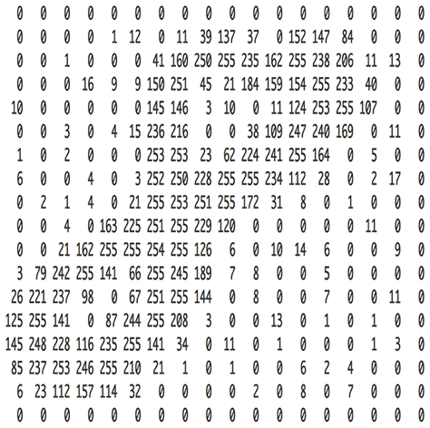 deep learning through neural networks